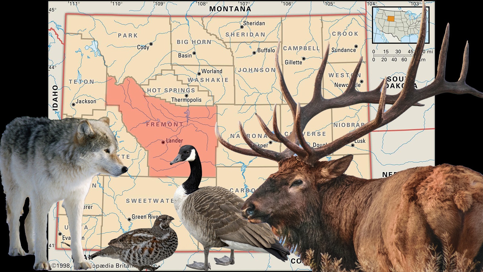 Cowboy State Daily Illustration