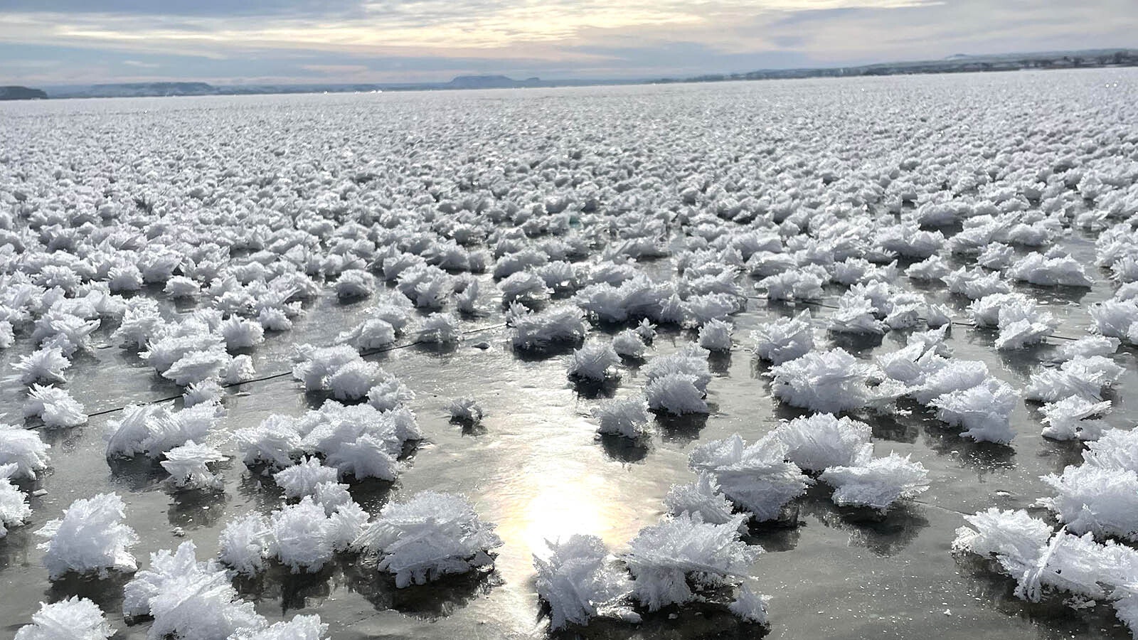 The crystal-clear ice of Boysen Reservoir is covered with unique, large frost flowers.