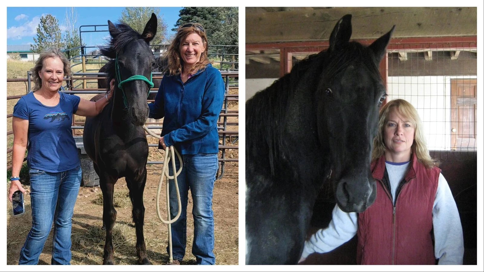 Left, Gail Mahnke's love of horses connected her with lifelong friends and took her on riding adventures around the world. Right, Mahnke founded Casper Animal Medical Center in 1996 and devoted her career to caring for animals.