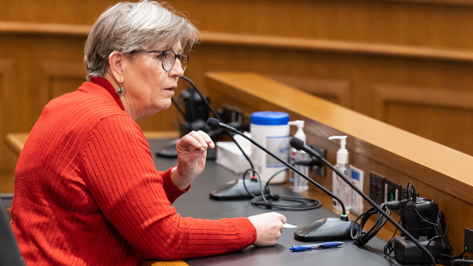 Gail Symons of Sheridan with Civics307