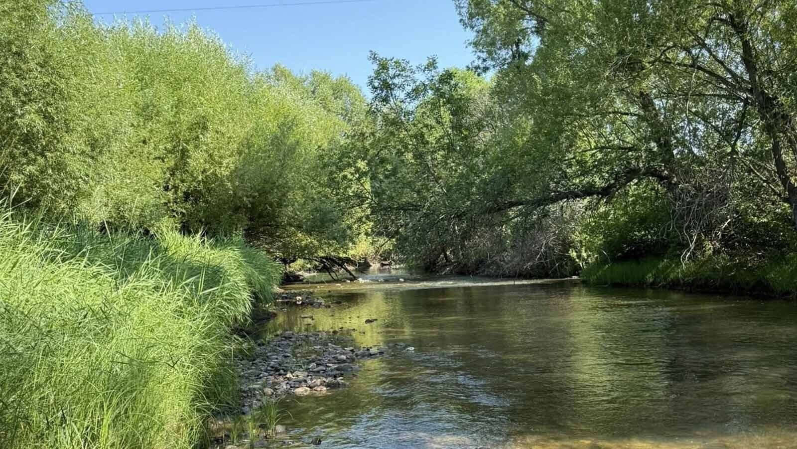 A group of volunteers – including James Galloway's daughter and step-daughter – waded through Big Goose Creek looking for his clues as to what happened to him.