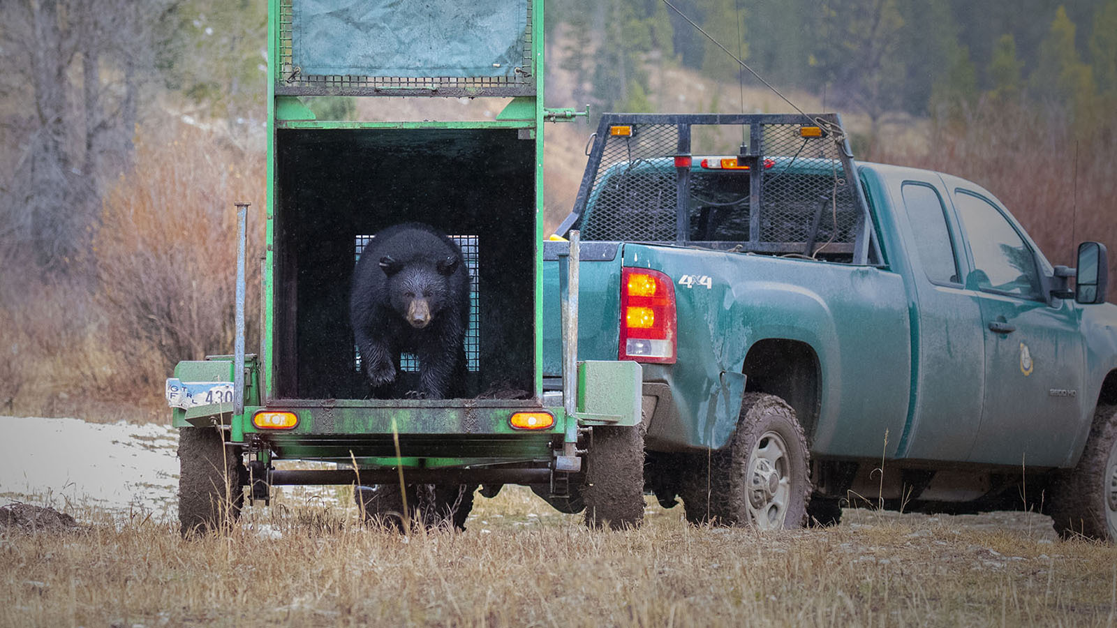 Game and fish truck 12 13 22