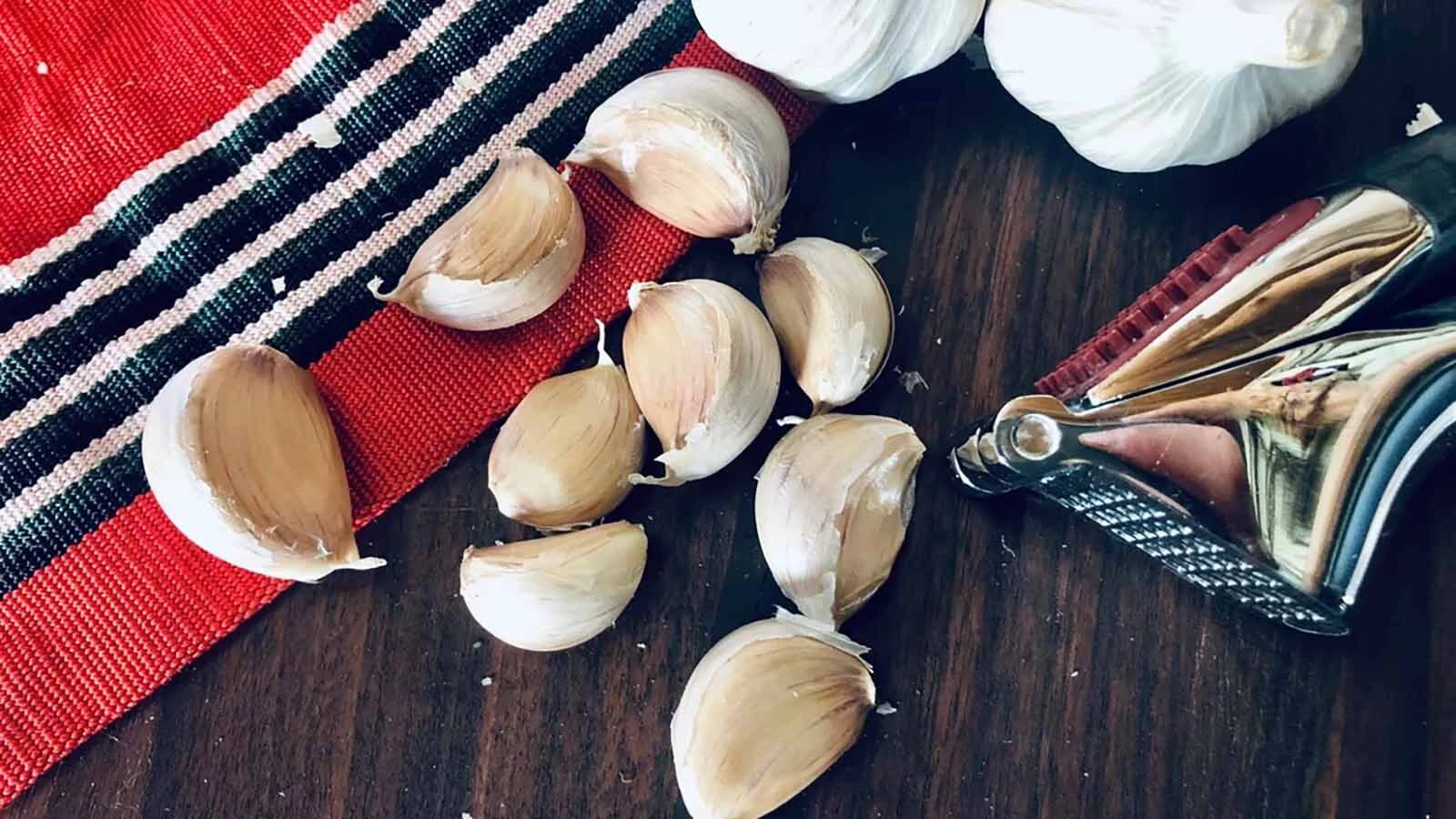 The oldest variety of garlic at Hemken’s Melissahof Farm is the 400-year-old “Chamisal Wild.” This heritage garlic was found growing wild on the banks of Chamisal Creek in the Sangre de Cristo Mountains of New Mexico and had been there for centuries.