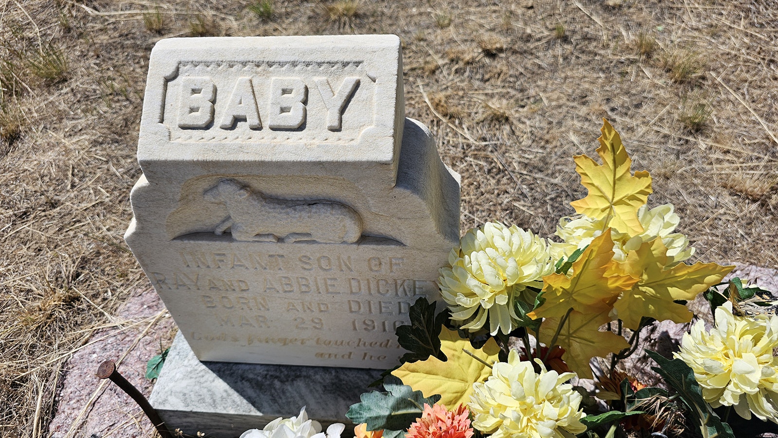 Many of the graves that still reman in the Gebo cemetery were babies who died in one or another disease outbreak.