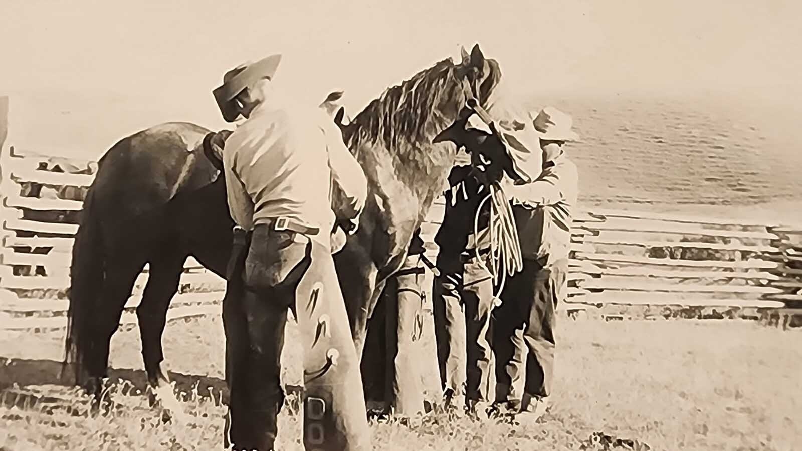 Gene Wollen will be inducrted into the Wyoming Cowboy Hall of Fame on Oct. 12, 2024.