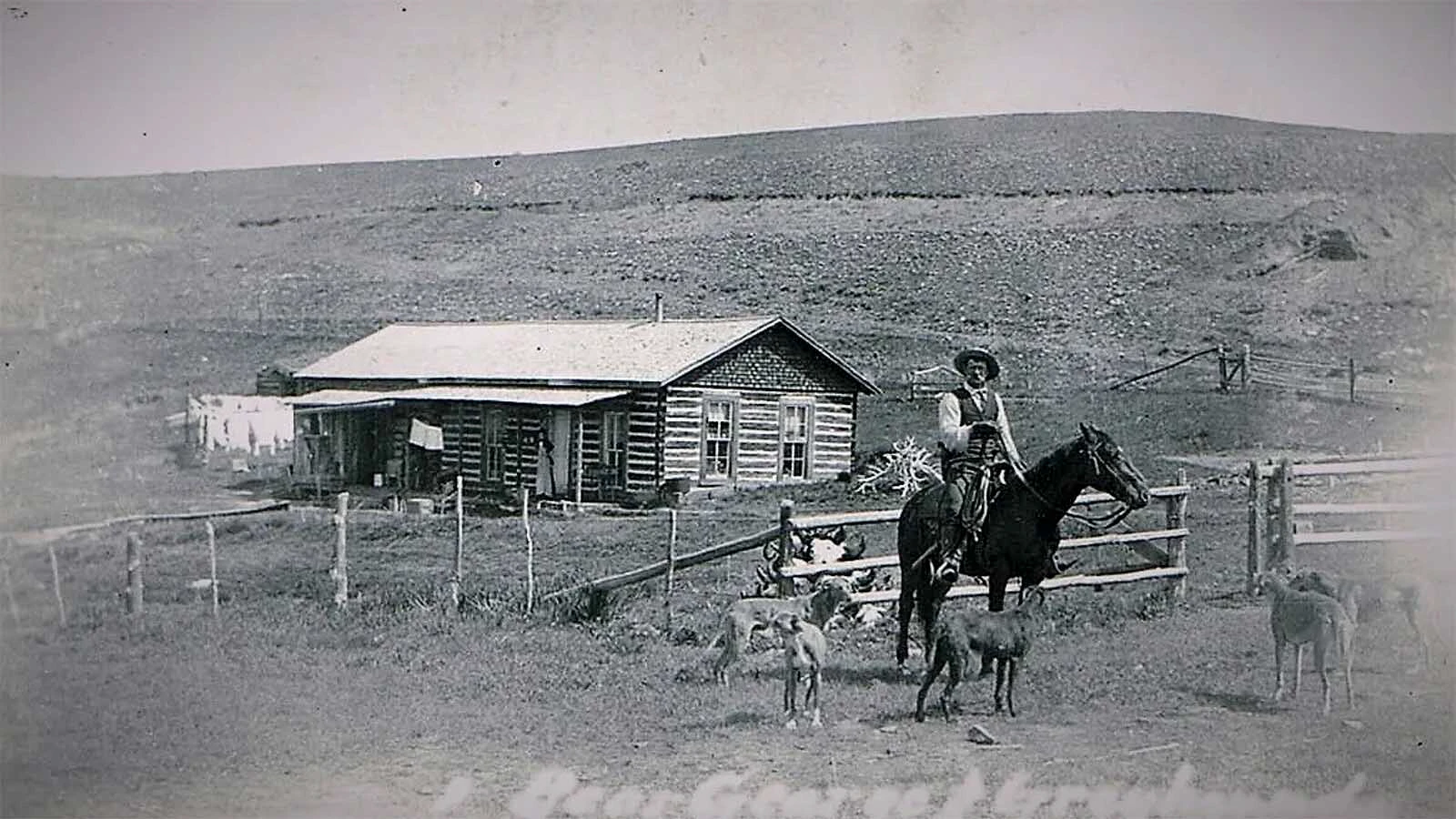 George "Bear" McClellan was one of Wyoming's most colorful characters in the early 1900s. Standing at six-foot-six, McClellan had earned his nickname as "The Bear" for hunting the beasts in the Big Horn Mountains beginning in 1885. He shared wild tales of riding bears and roping them. 