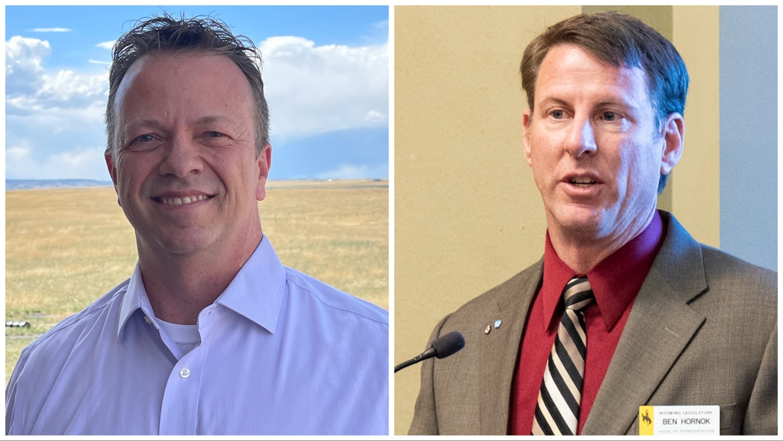 Geringer and Hornok 5 7 24