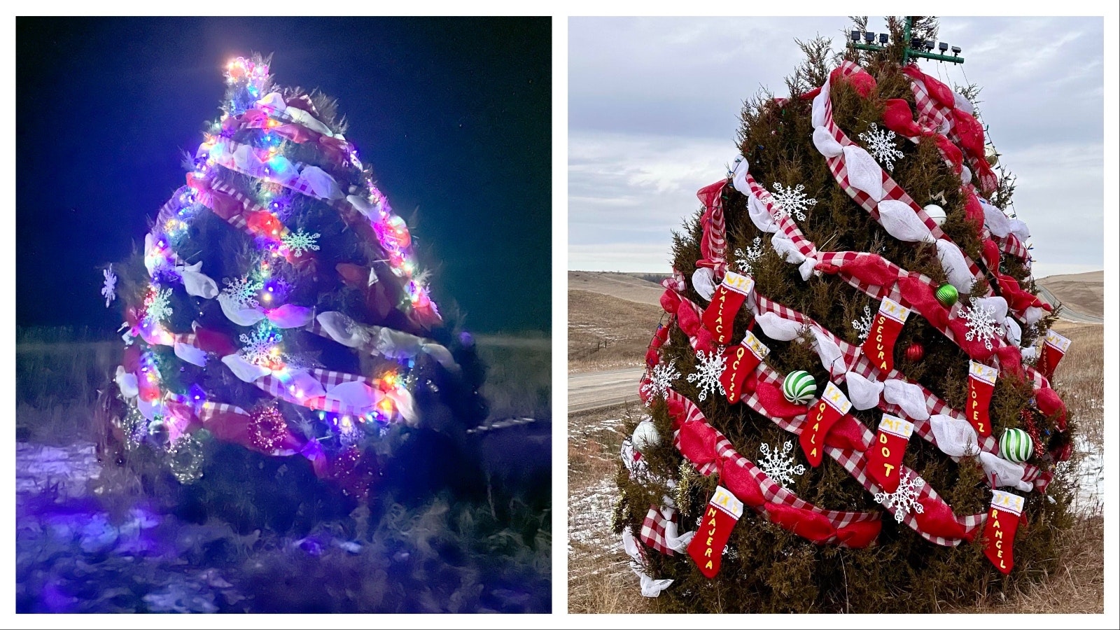 For the 15th year, German Segura has decorated a lone tree in the median of Interstate 90 between Sheridan and Billings, Montana.