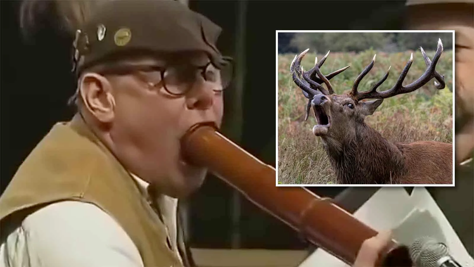 Hunters compete in the 2026 Deer Calling World Championships in Germany.