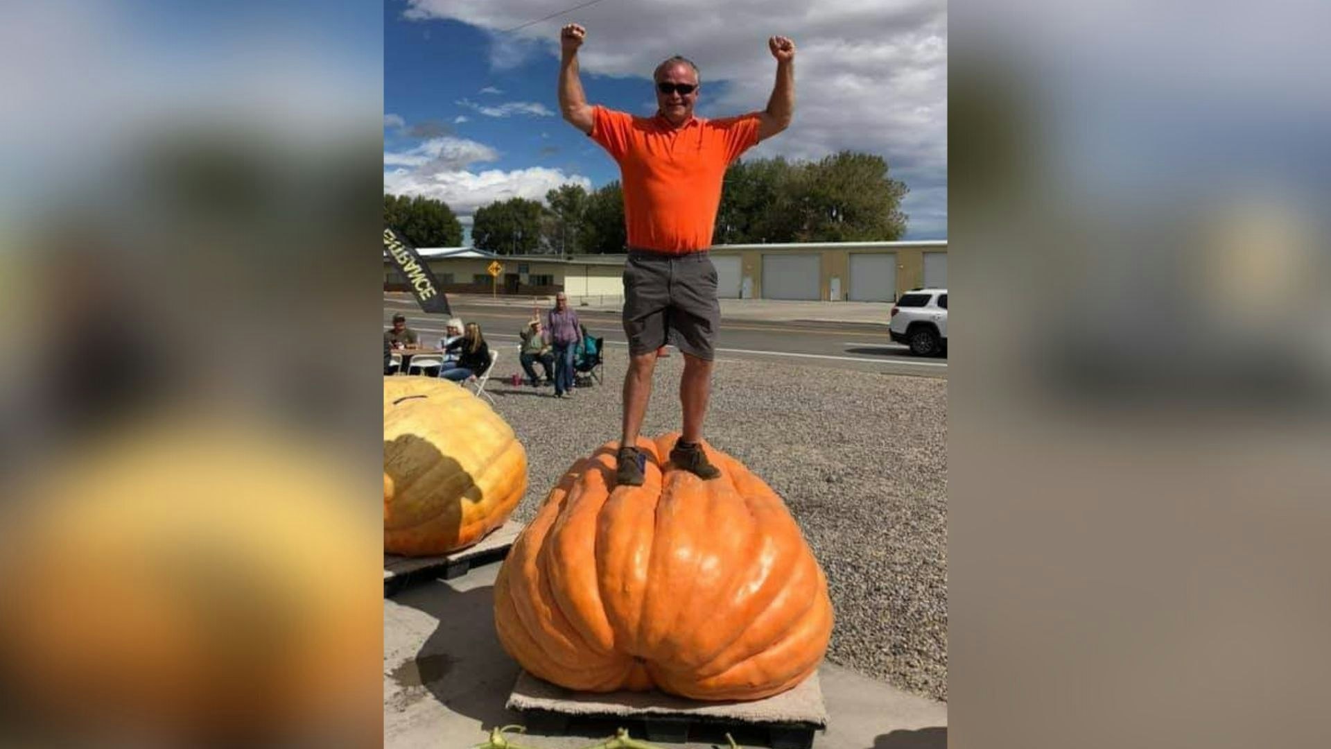 Giant pumpkin Jay Pumpkin 1 5 8 23