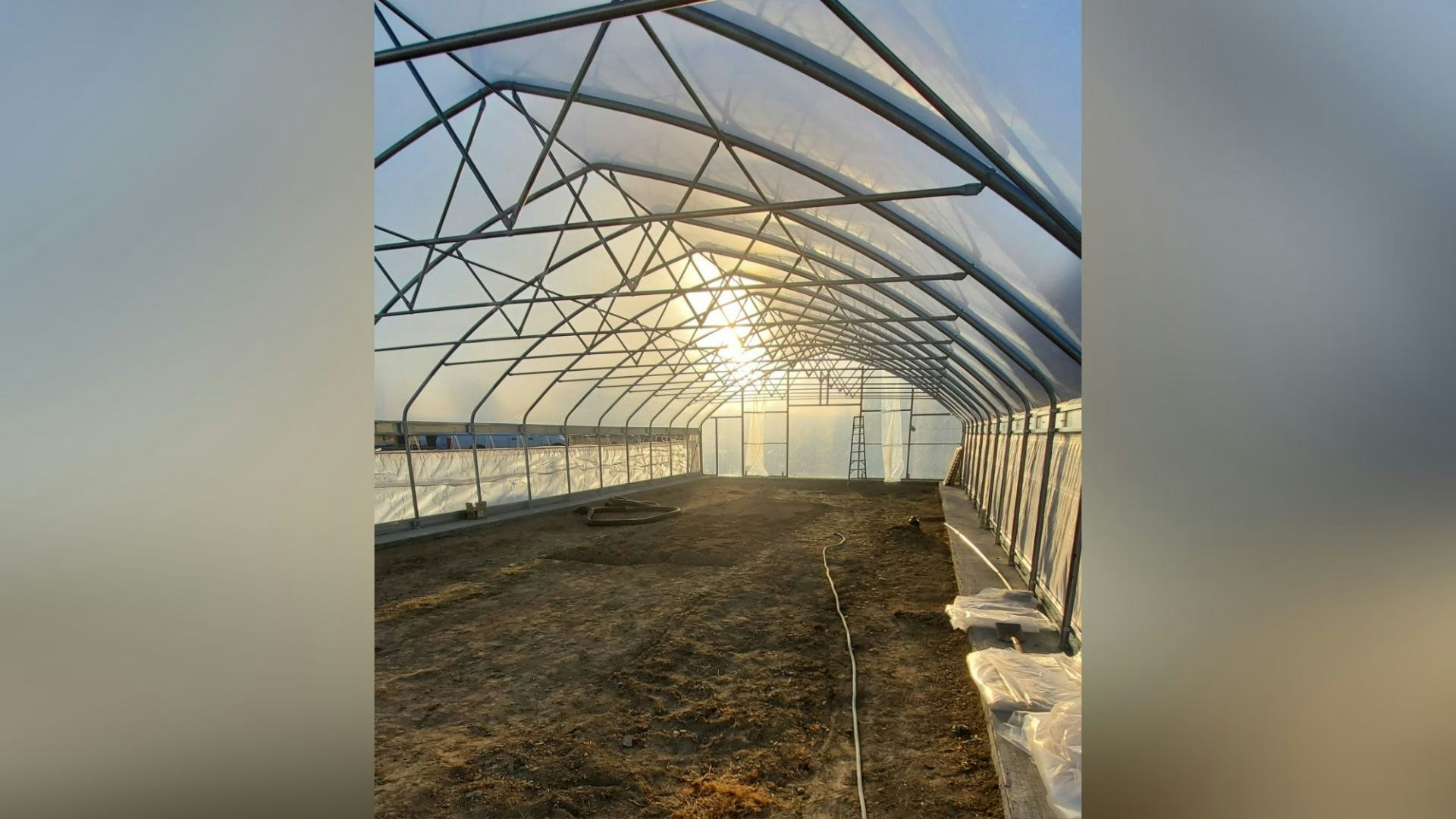 This large 30-by-70-foot greenhouse will house just two pumpkins — but they'll be huge. Owner Jay Richard hopes too grow a 2,000-pound pumpkin in it.