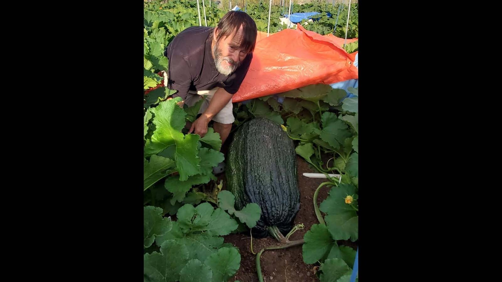 Ron Hoffman of Riverton poses next to the massive marrow he'll be bringing to Worland for the 2025 Wyoming State Championship Weigh Off and Pumpkin Drop on Oct. 4. This marrow, a zucchini-like fruit, could set a new state record.