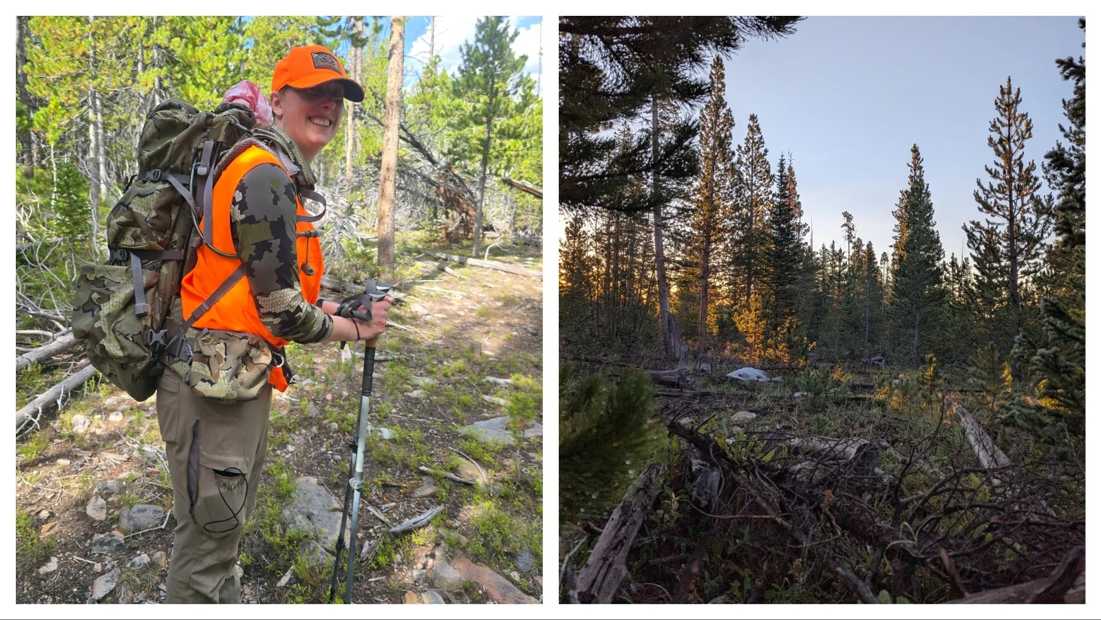 Jessie Wilson packs elk meat out of the Snow Range mountains near Centennial during an early-season cow elk hunt. It was unusual pursuing elk in thick timber in the Snowy Range mountains above Centennial, the hunters said.