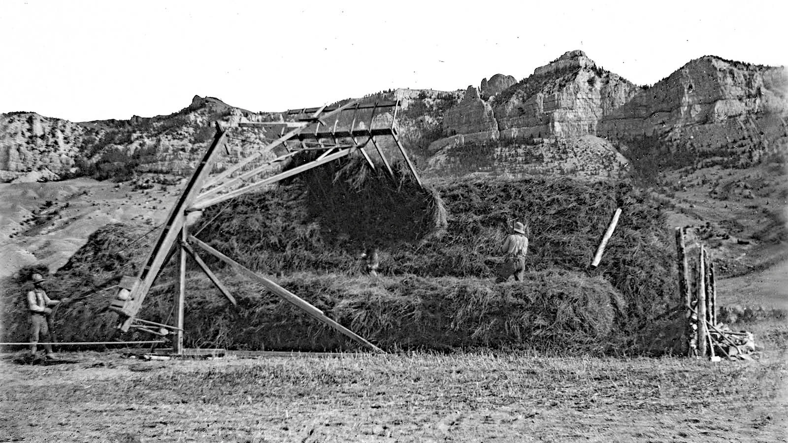 A hay stacker on the ranch in front of Sheep Mountain.