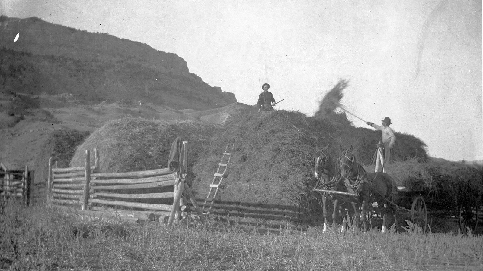 Stacking hay by hand in front of Sheep Mountain.