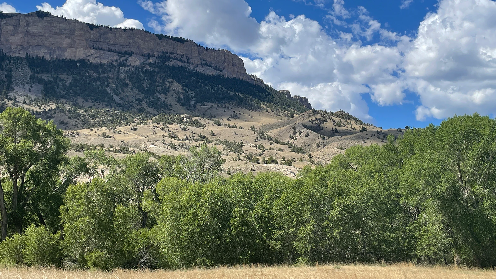 A view of the same sight today where the Thurmonds were stacking hay on their ranch in the early 1900s.