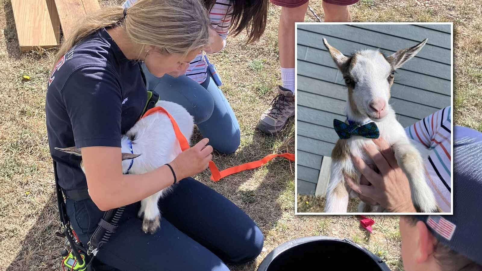 A well-dressed, bow-tie-wearing baby goat is back to bounding around his Campbell County property after falling into an 8-foot-deep sump drain over the weekend. “I don’t recall we ever rescued a goat before,” said the fire department’s spokesman.
