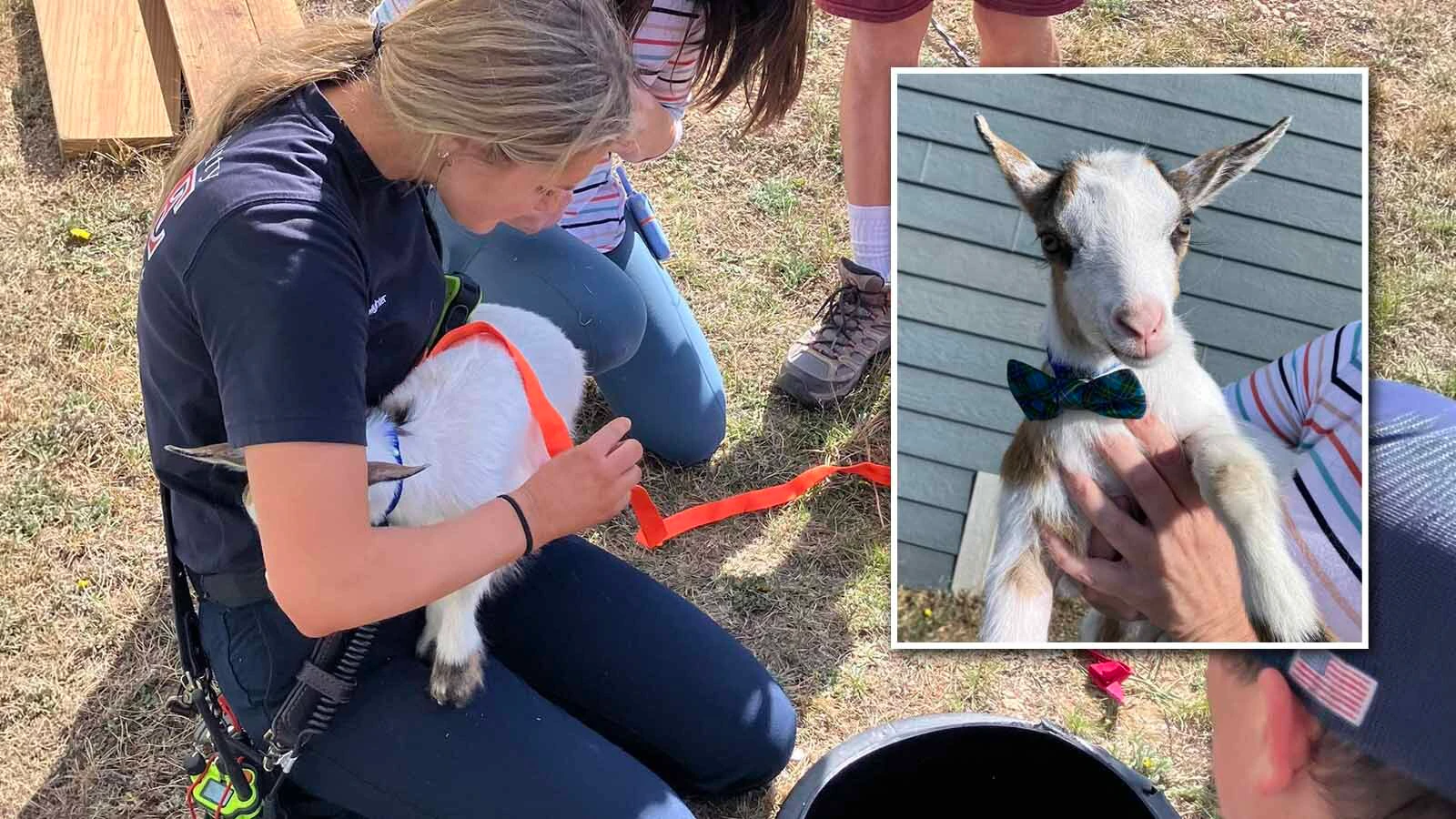 A well-dressed, bow-tie-wearing baby goat is back to bounding around his Campbell County property after falling into an 8-foot-deep sump drain over the weekend. “I don’t recall we ever rescued a goat before,” said the fire department’s spokesman.