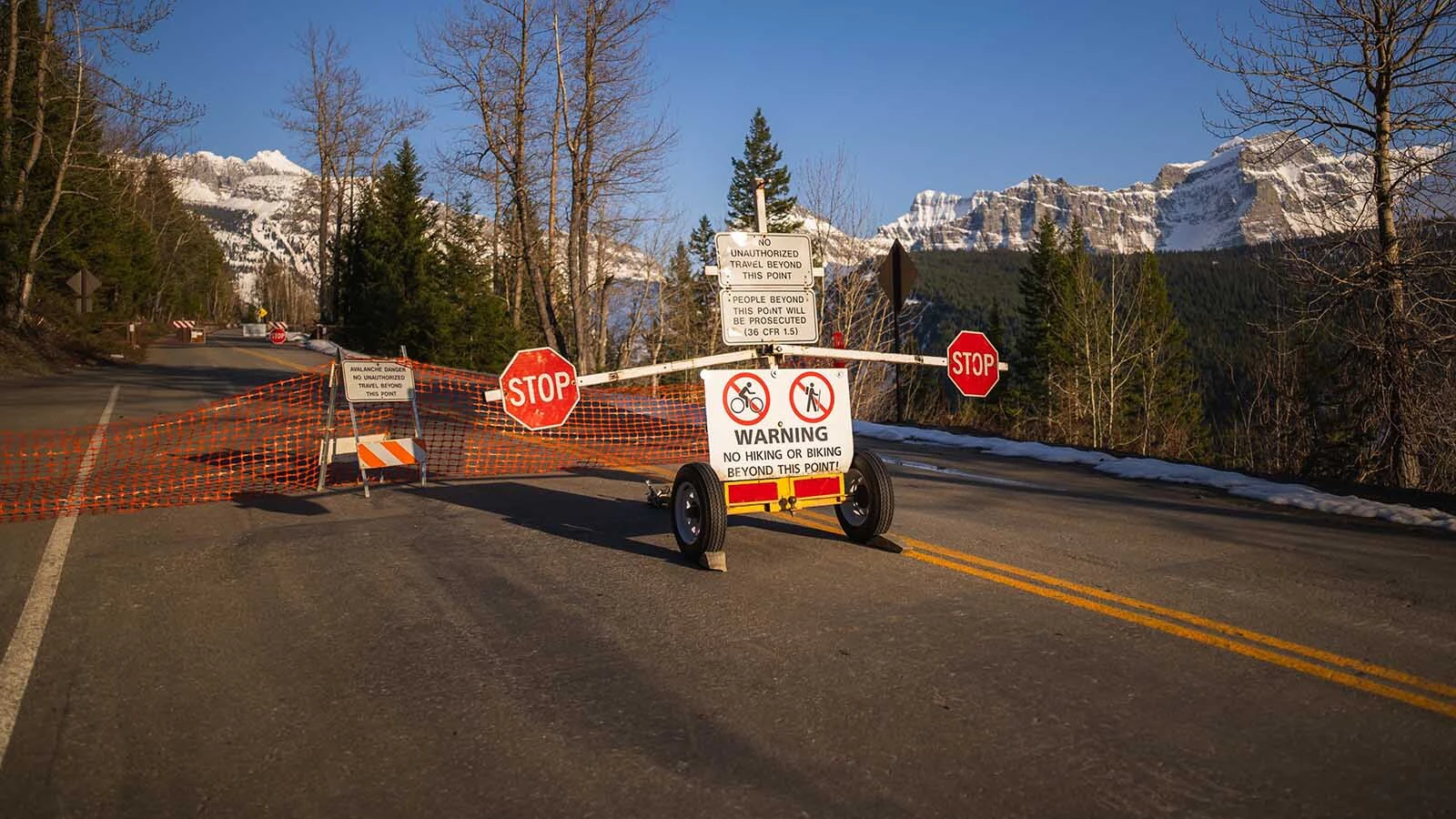 The Going-to-the-Sun Road in Montana’s Glacier National Park, which opened for the summer Monday, is considered by many to be the most beautiful road in America. So be prepared to have plenty of company, human and otherwise, on the way to Logan Pass.