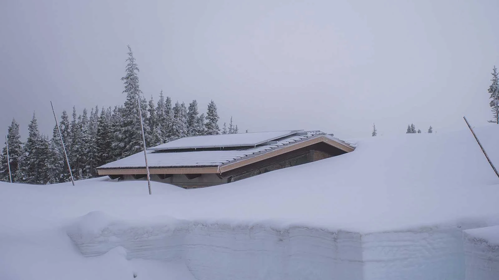 The Going-to-the-Sun Road in Montana’s Glacier National Park, which opened for the summer Monday, is considered by many to be the most beautiful road in America. So be prepared to have plenty of company, human and otherwise, on the way to Logan Pass.