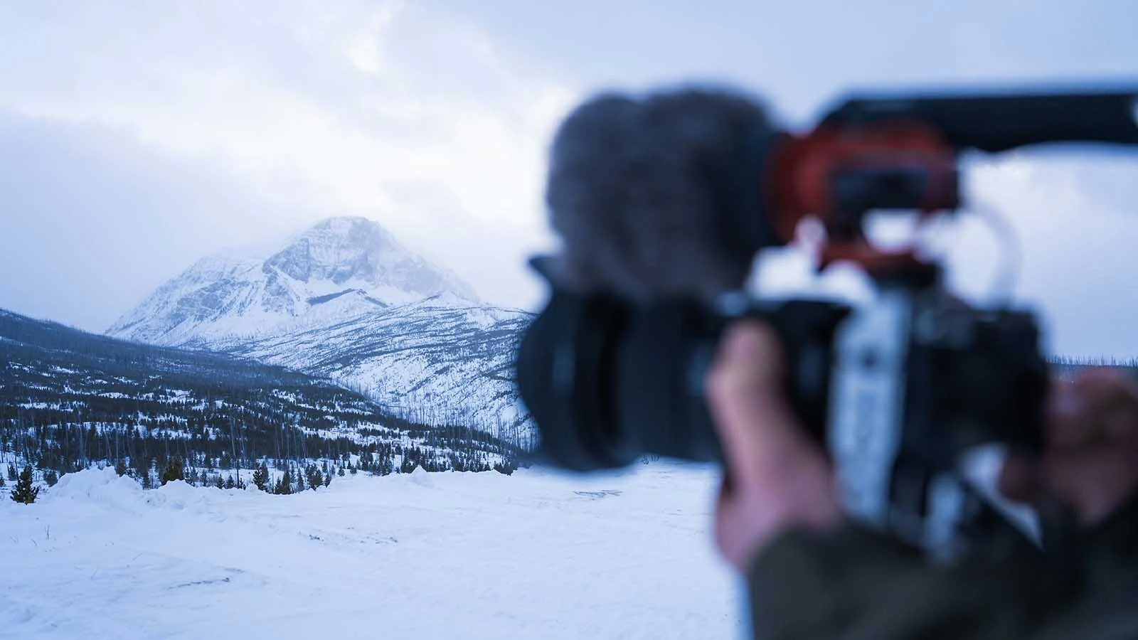 The Going-to-the-Sun Road in Montana’s Glacier National Park, which opened for the summer Monday, is considered by many to be the most beautiful road in America. So be prepared to have plenty of company, human and otherwise, on the way to Logan Pass.