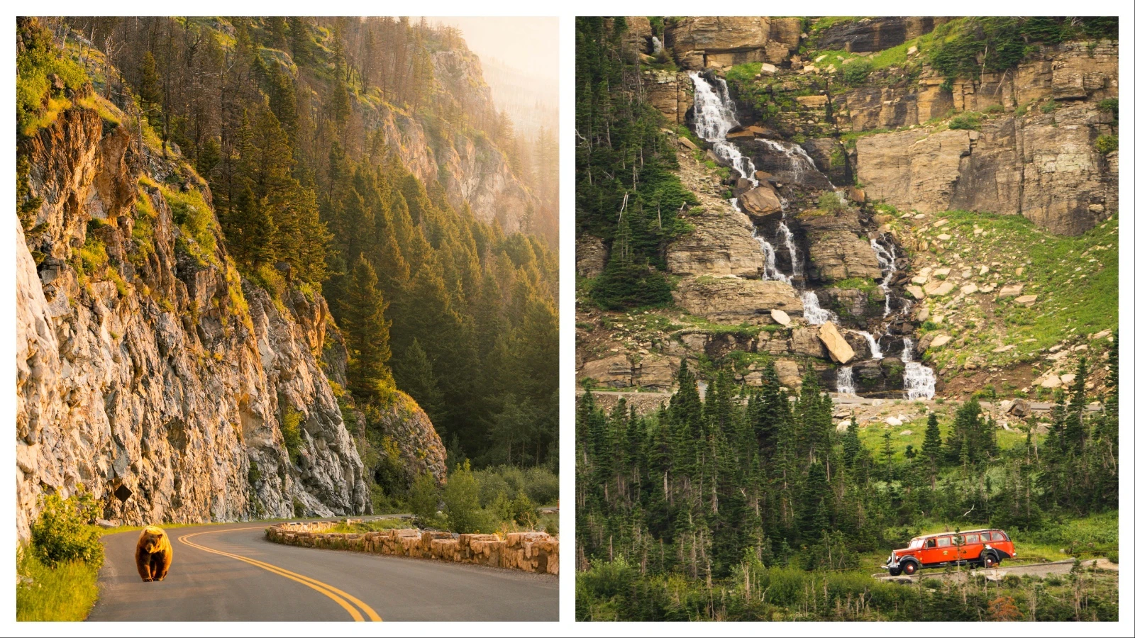 The Going-to-the-Sun Road in Montana’s Glacier National Park, which opened for the summer Monday, is considered by many to be the most beautiful road in America. So be prepared to have plenty of company, human and otherwise, on the way to Logan Pass.