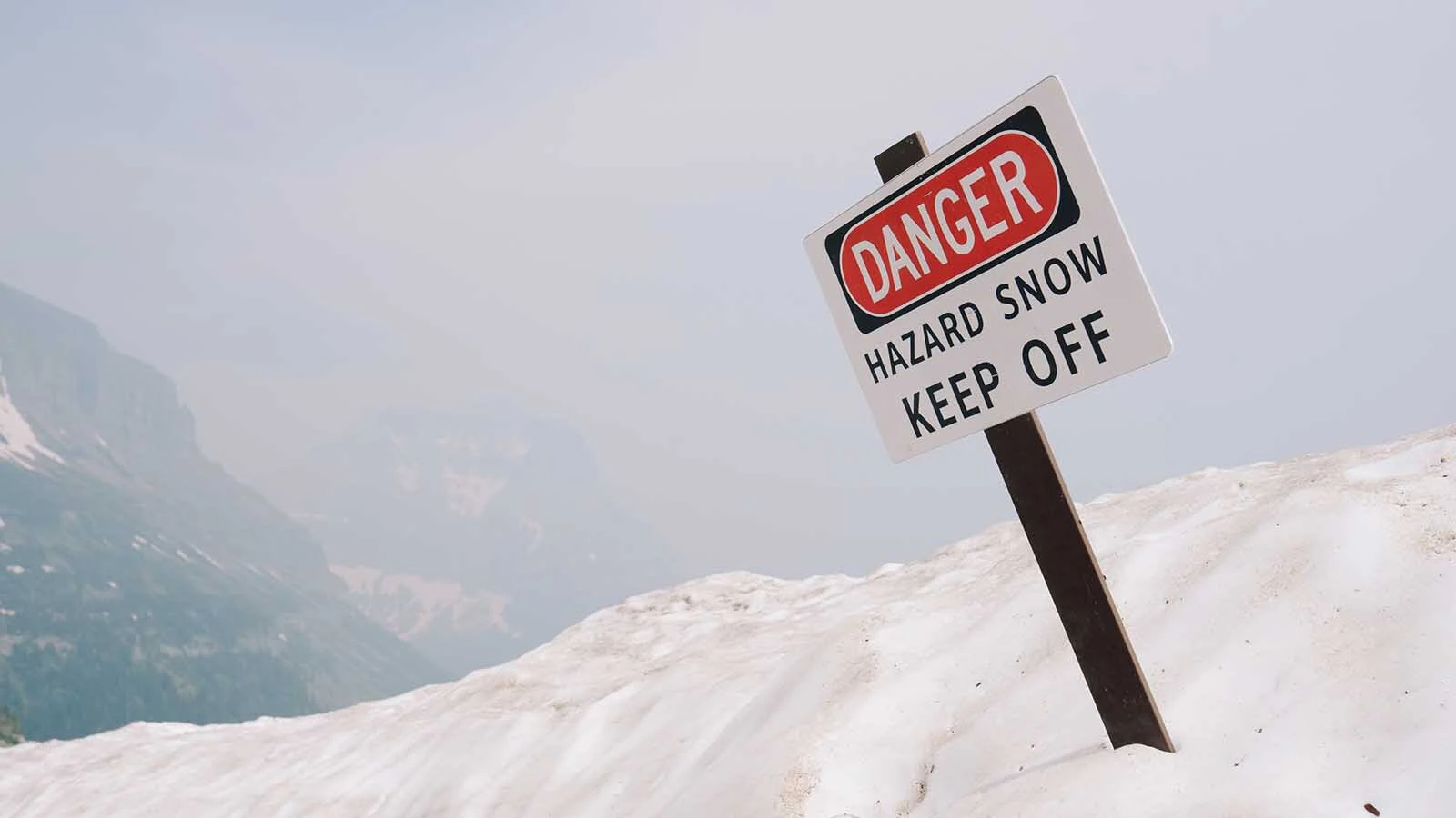 The Going-to-the-Sun Road in Montana’s Glacier National Park, which opened for the summer Monday, is considered by many to be the most beautiful road in America. So be prepared to have plenty of company, human and otherwise, on the way to Logan Pass.