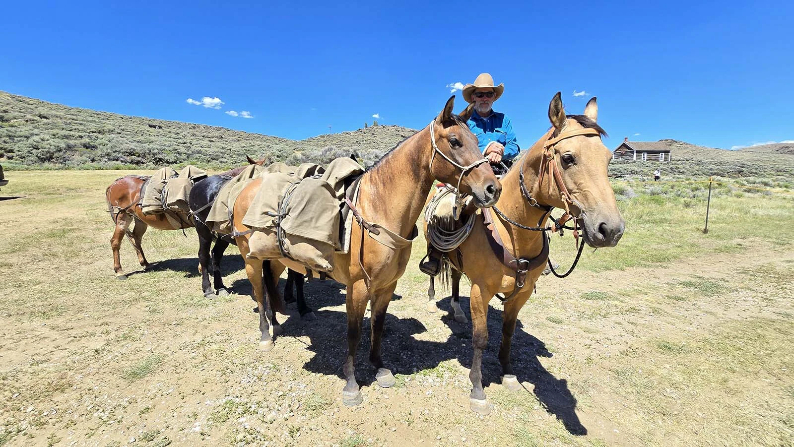 Jimmy Wiser poses with his pack mule team at South Pass City's Gold Rush Days.