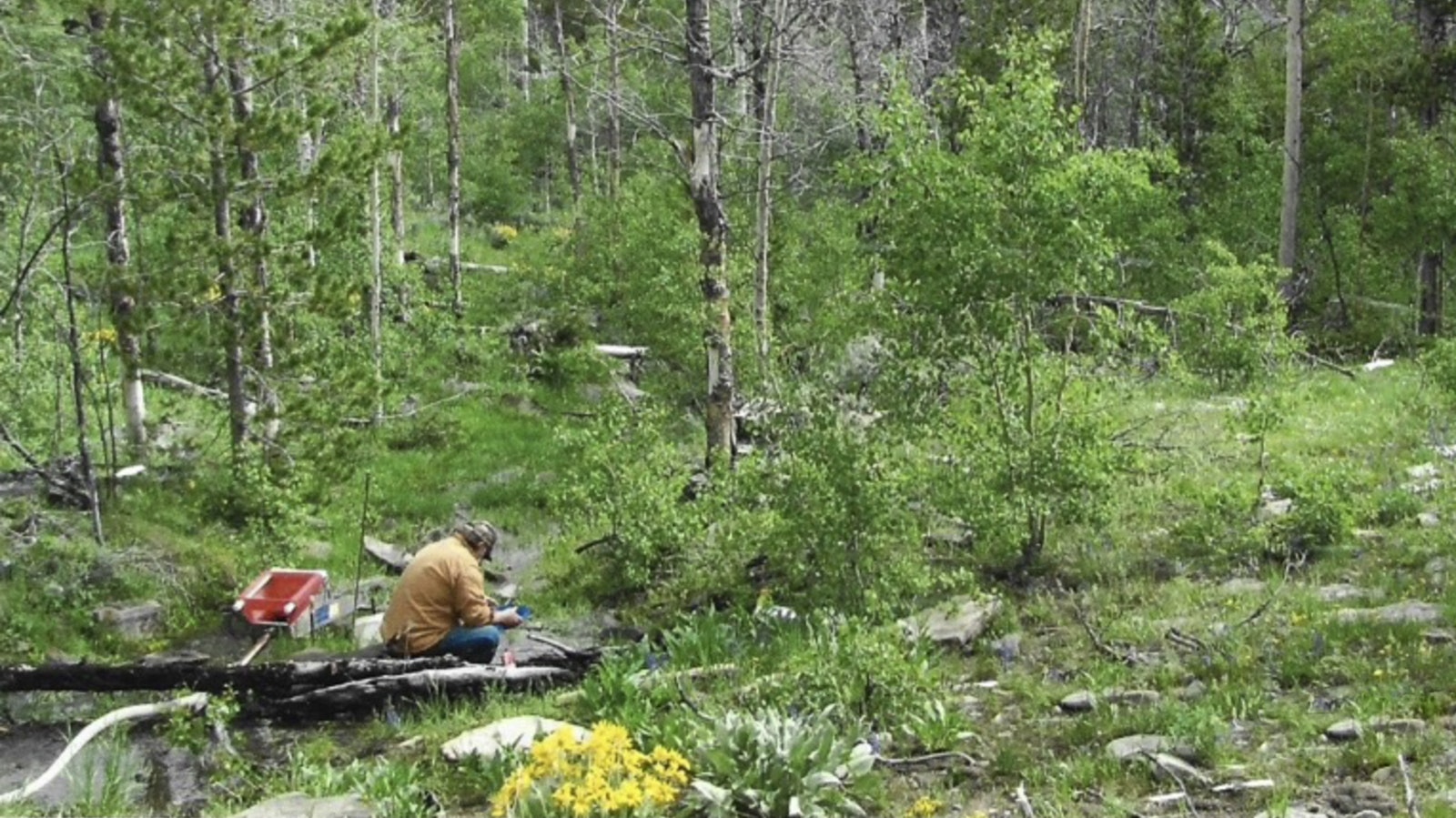 One of Steve Brazelton's favorite things about prospecting is being out in nature. “It's a hobby so you know you're not going to get rich at it, but you're out in the outdoors camping and it's just nice to be out and see new places,” he said.