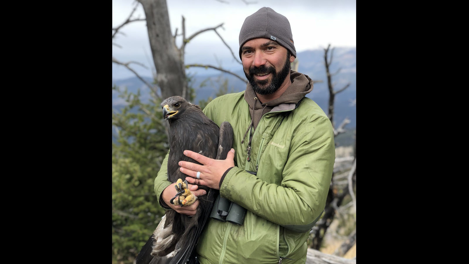 Wyoming Raptor conservationist Bryan Bedrosian says new mapping software can help protect golden eagles from collisions with wind turbines and other hazards.