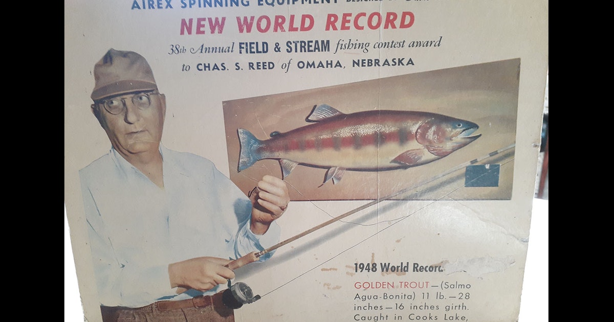 Pinedale Woman Says She Was There When Record 11-Pound Wyoming Golden Trout Was Caught - Cowboy State Daily