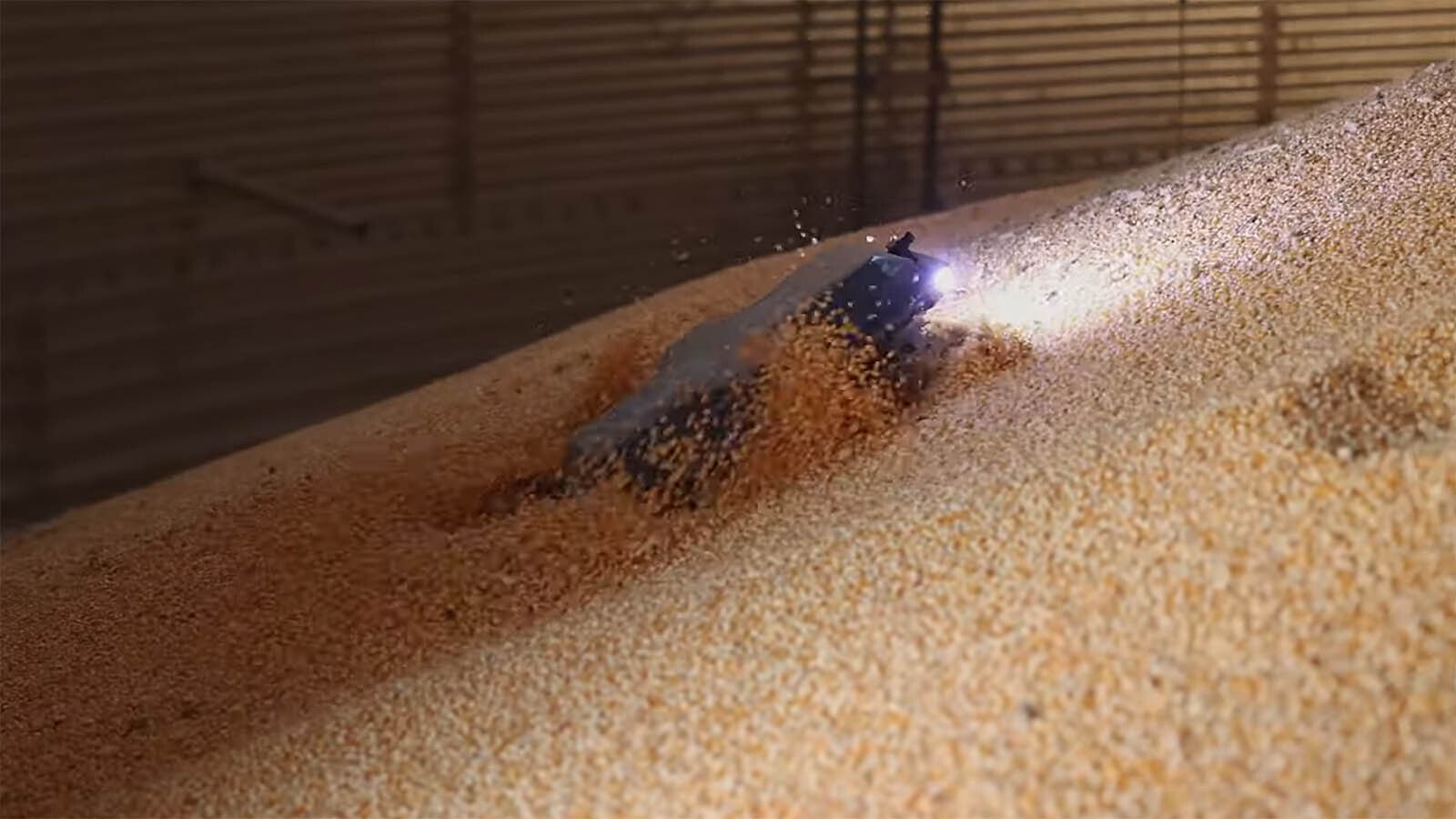 A Nebraska company has developed a pioneering robot called a Grain Weevil that can do everything in a grain bin a human with a shovel might need to do. It’s a dramatic step up in safety for farmers, one that Wyoming farmers say is game-changing.