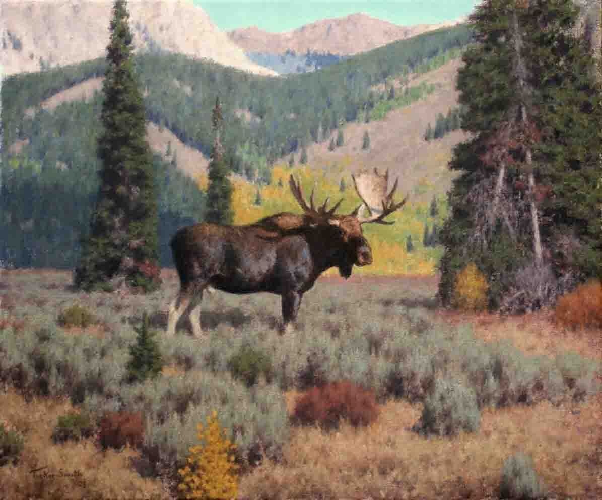 Granite Creek Bull 3