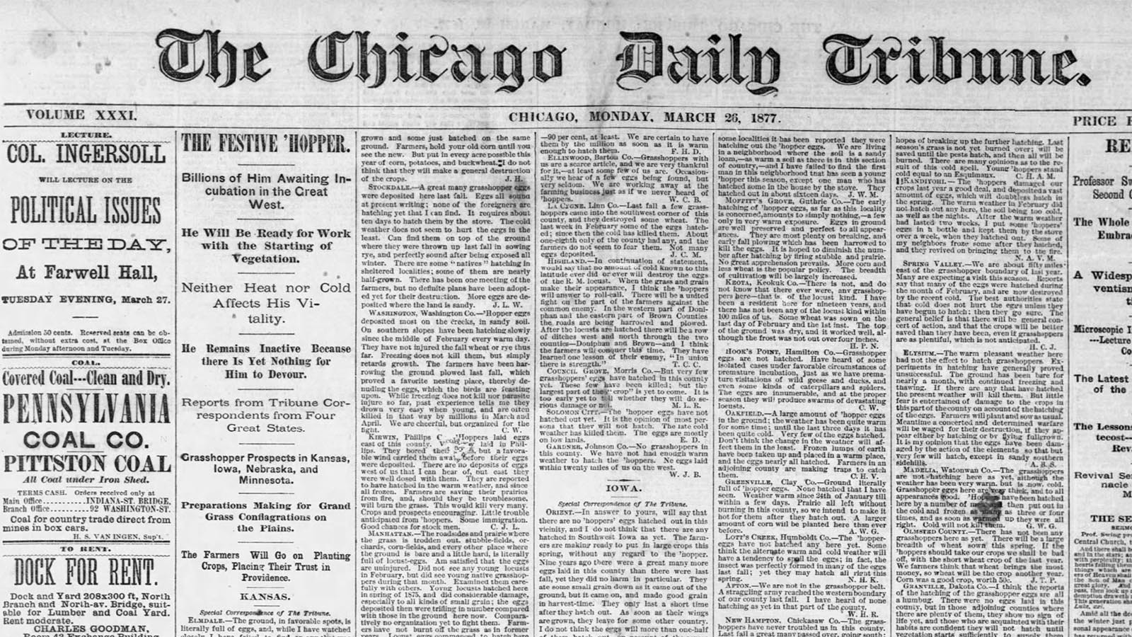 The Chicago Daily Tribune on March 26, 1877, reports on the continuing plague of Rocky Mountain locusts.