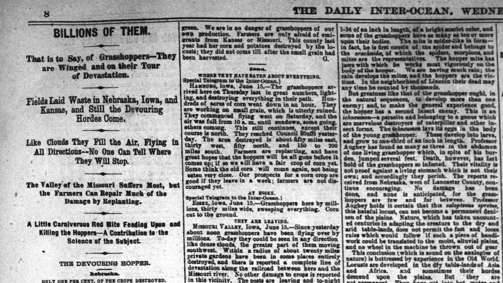 Chicago’s Daily Inter-Ocean newspaper on June 16, 1875, reports on a locust scourge.