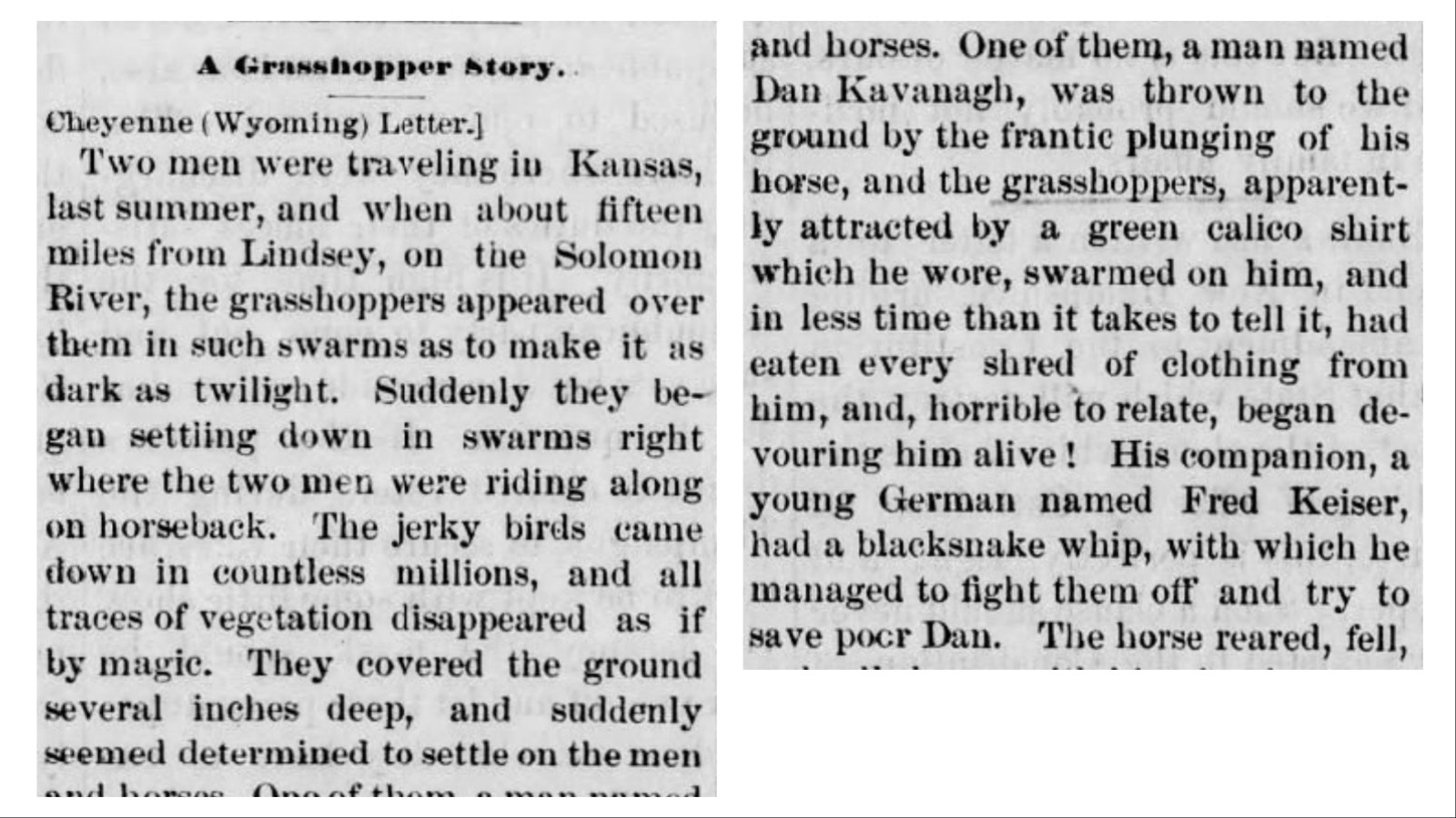 The Owensboro Examiner on March 23, 1877, carried a story about locusts eating a man and his horse.