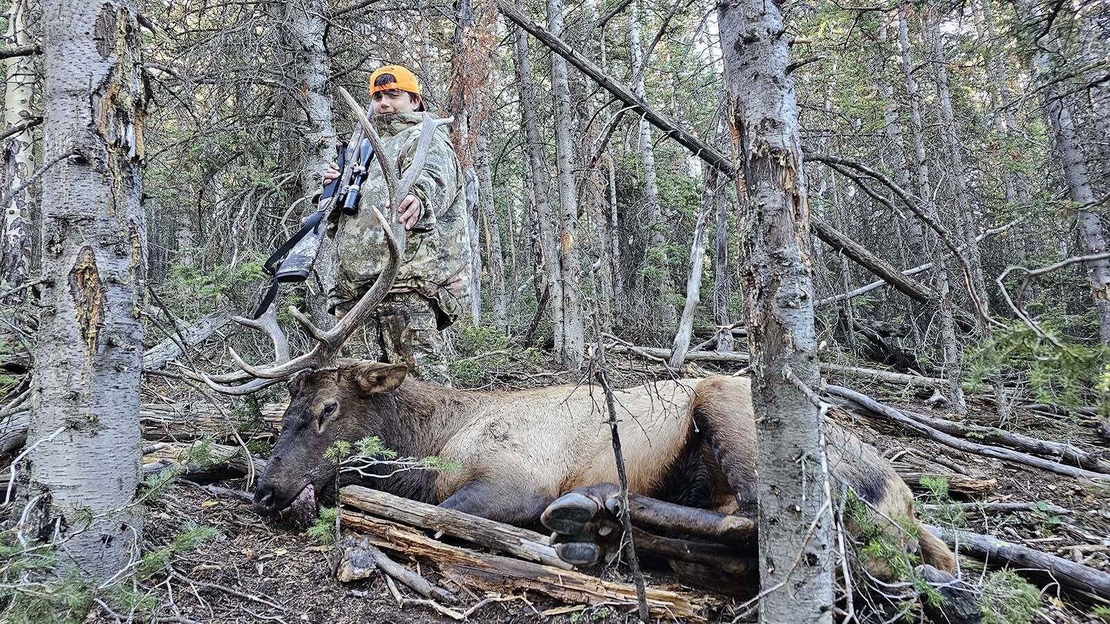 Brayden Cummings of Rock Springs shot this bull elk in the Greater Little Mountain Area last year. Elk tags are difficult to draw for that area, but the game is plentiful.