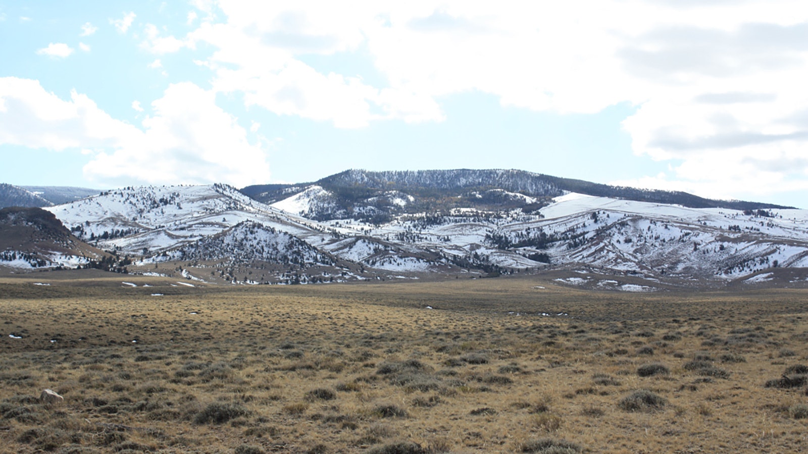 The rugged and remote Green Mountain area in the Laramie Range in Albany County is prized for its elk and bighorn sheep hunting. The proposed Britania Land Exchange would trade rugged Forest Service Land in Albany for two parchels farther to the north.