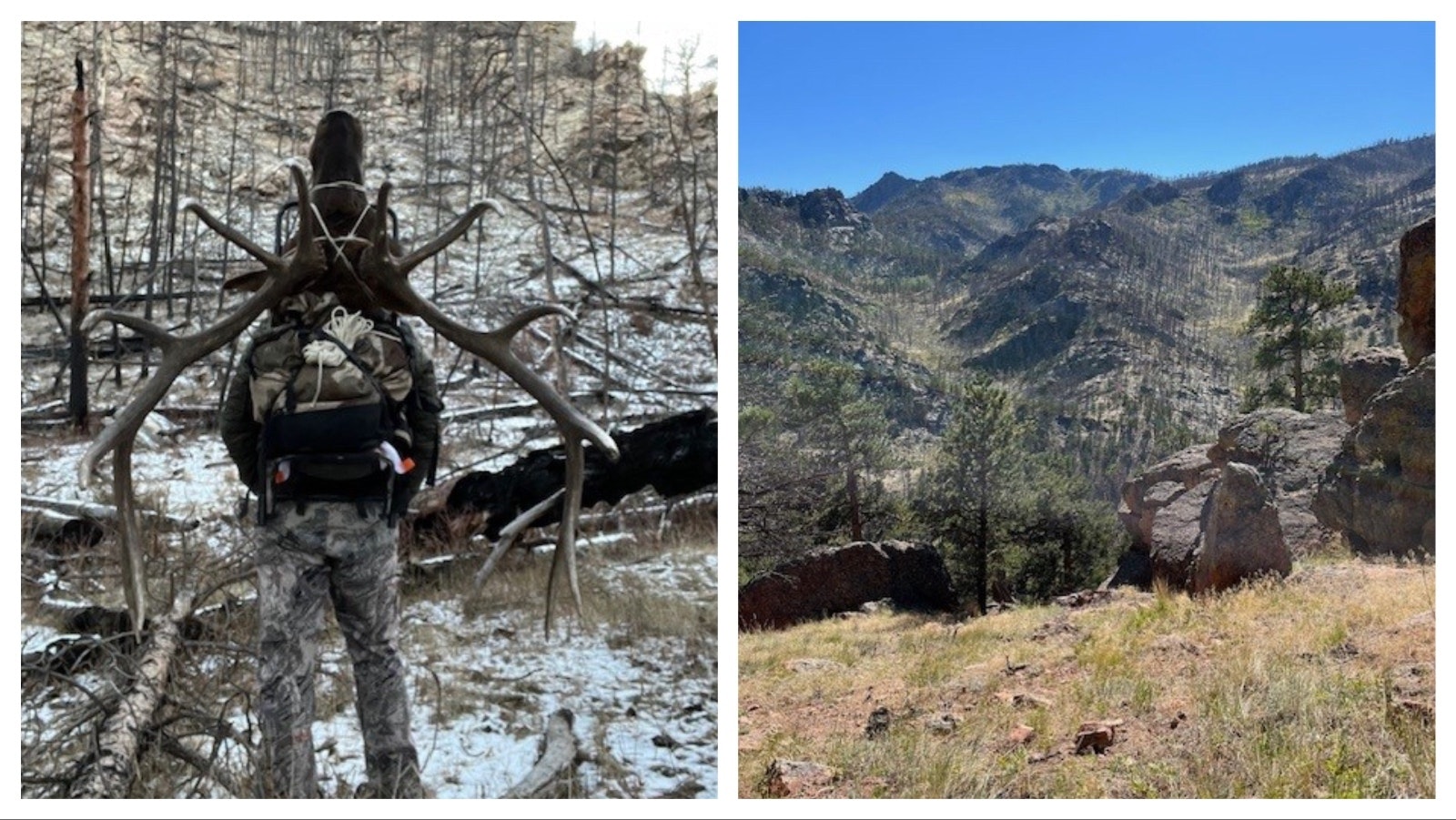 Some are upset that the Forest Service is preparing to trade off the rugged Green Mountain area in the Laramie Range in Albany County. The rugged and remote Green Mountain area in the Laramie Range in Albany County is prized for its elk and bighorn sheep hunting.