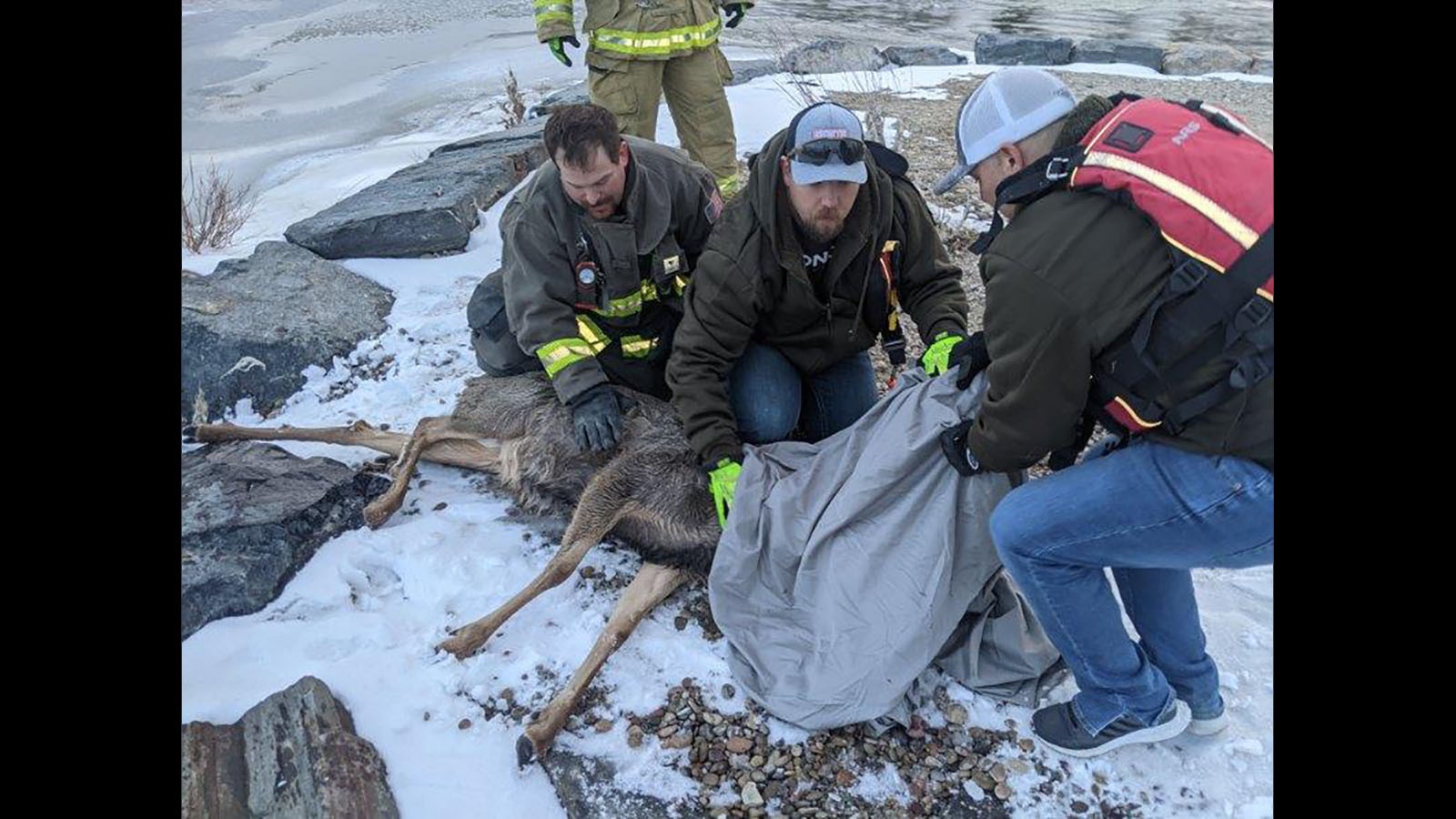 Green River Fire Department members work to warm up a deer that broke through ice Sunday afternoon.