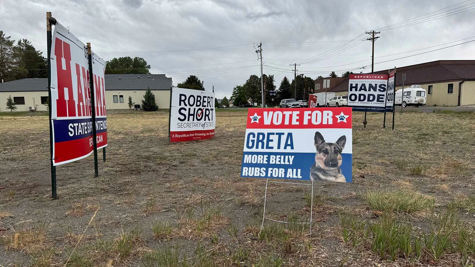 Greta, a German shepherd with a platform of “more belly rubs for all,” is getting huge support in Park County since a “Vote For Greta” sign went up in Cody. “She certainly can’t be worse than, like, half the people running,” said one voter.