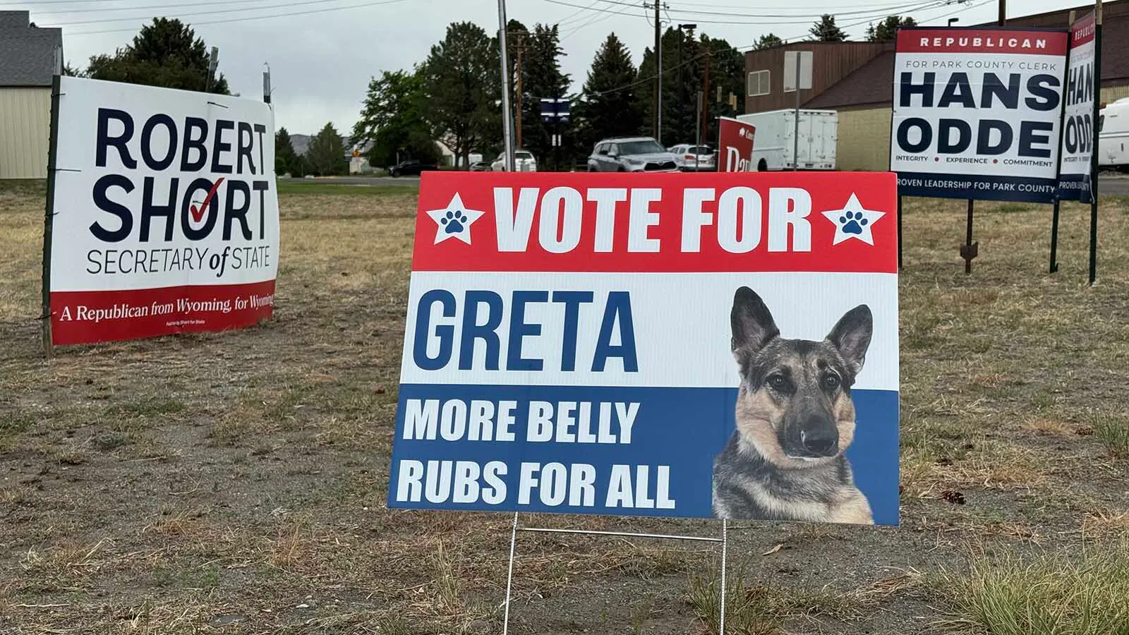 Greta, a German shepherd with a platform of “more belly rubs for all,” is getting huge support in Park County since a “Vote For Greta” sign went up in Cody. “She certainly can’t be worse than, like, half the people running,” said one voter.