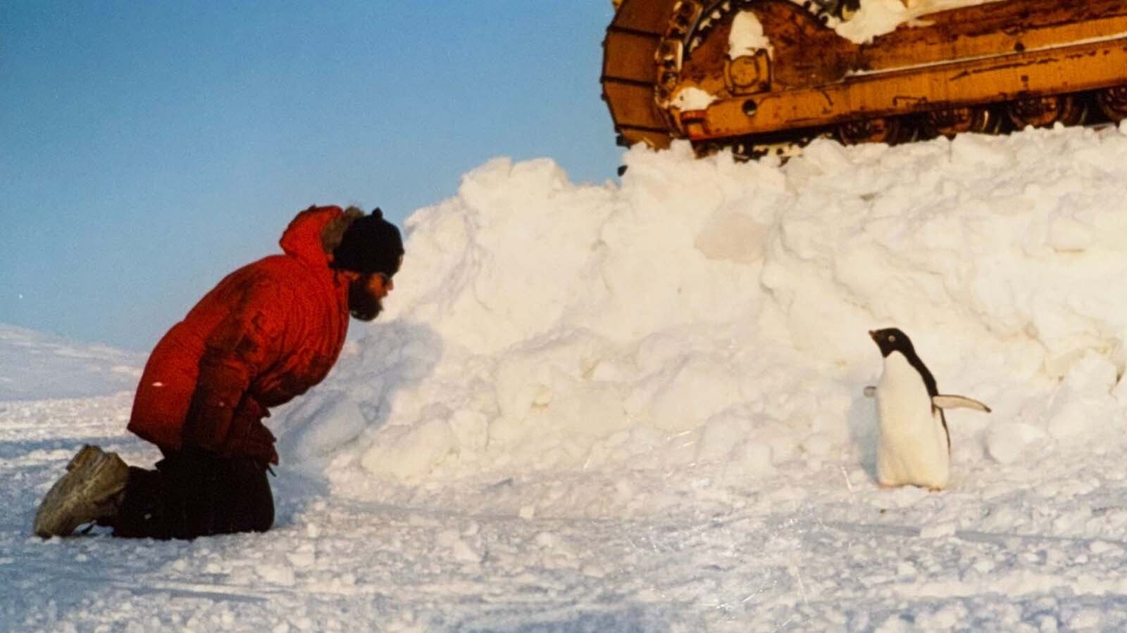 Gerald Crist of Greybull, Wyoming, has a staredown with a penguin at McMurdo Station in Antarctica.