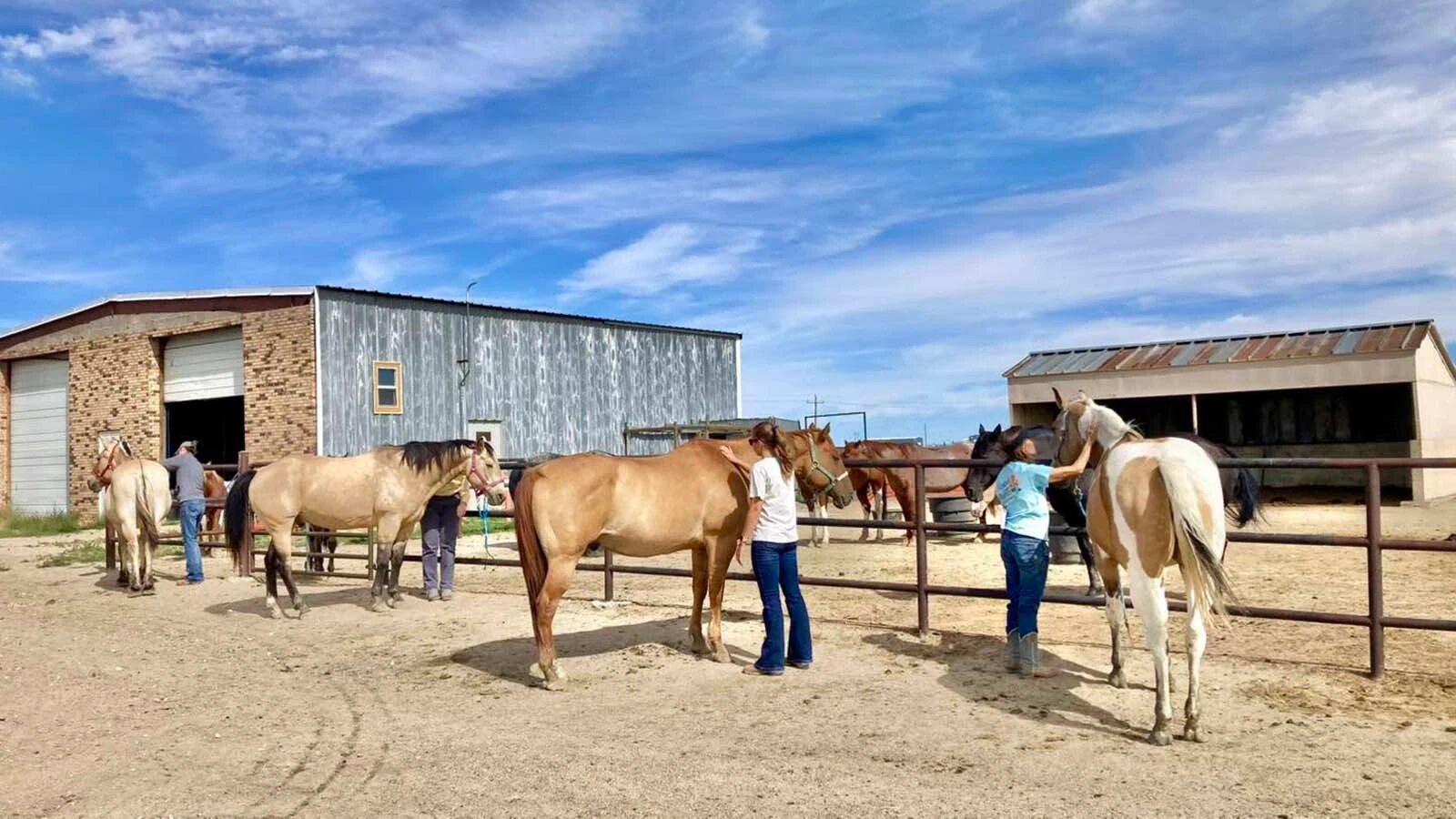 After their father's death last fall, a pair of Wyoming siblings spent four days riding horses, creating art and connecting with other grieving kids at a camp designed to help them heal. "This summer, we're just surviving," said their mom.