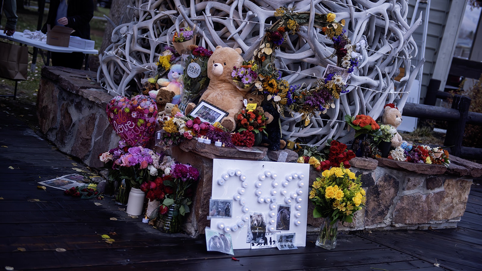 A memorial at the foot of one of Jackson, Wyoming's, famous arches around its Public Square for Grizzly 399.