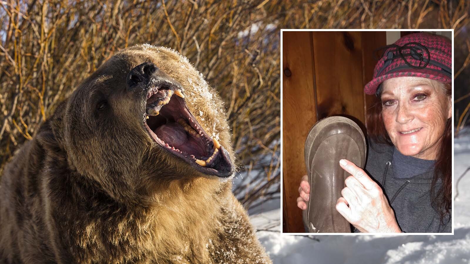 A grizzly bit into Celia Easton’s boot and pulled it off her foot during an encounter in the Beathtooth Mountains of Wyoming.