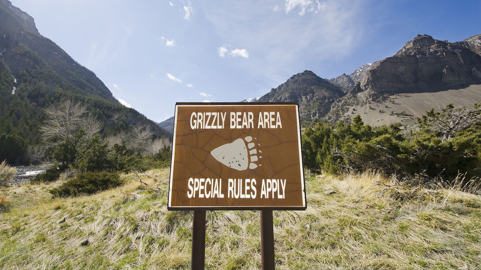 Grizzly area 5 24 23