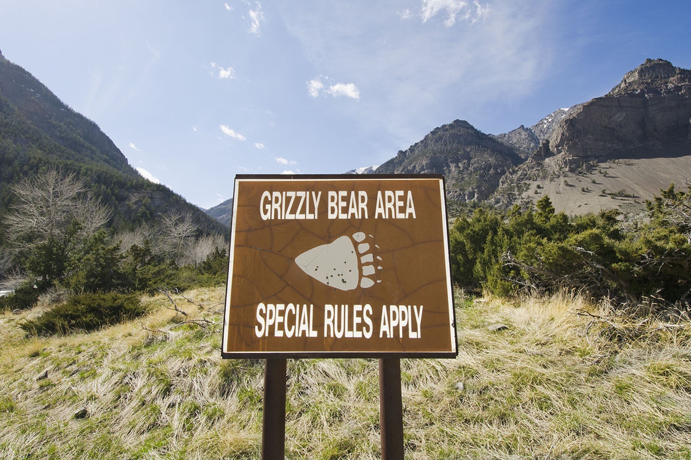 Grizzly area 5 24 23
