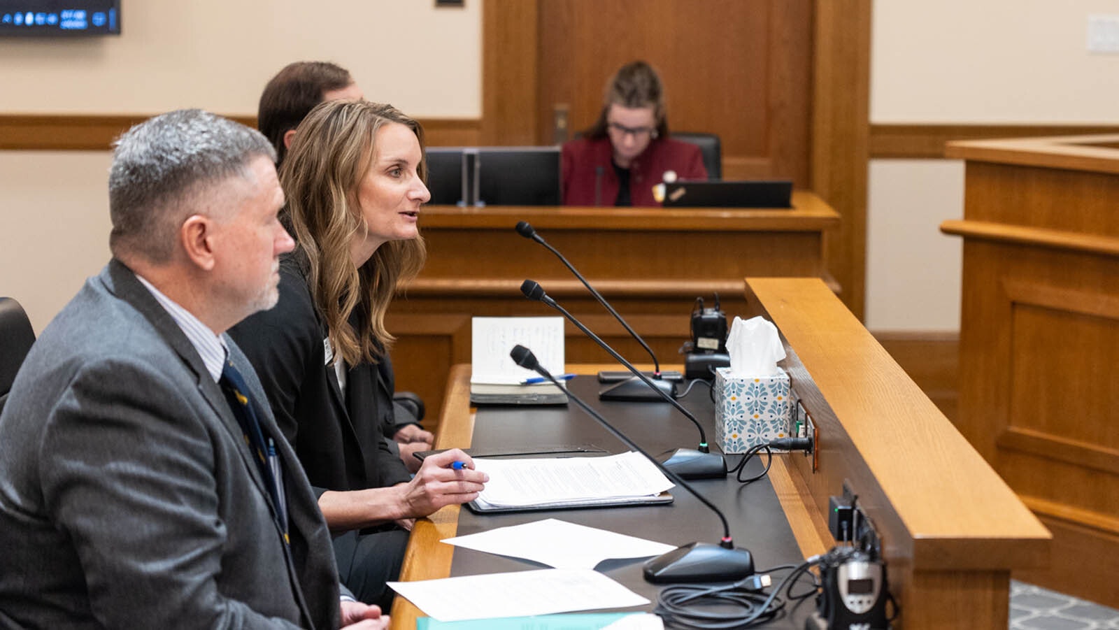 Wyoming Game and Fish Director Angi Bruce testifies about the potential for grizzly delisting during a Wyoming legislative committee meeting Feb. 4, 2025.