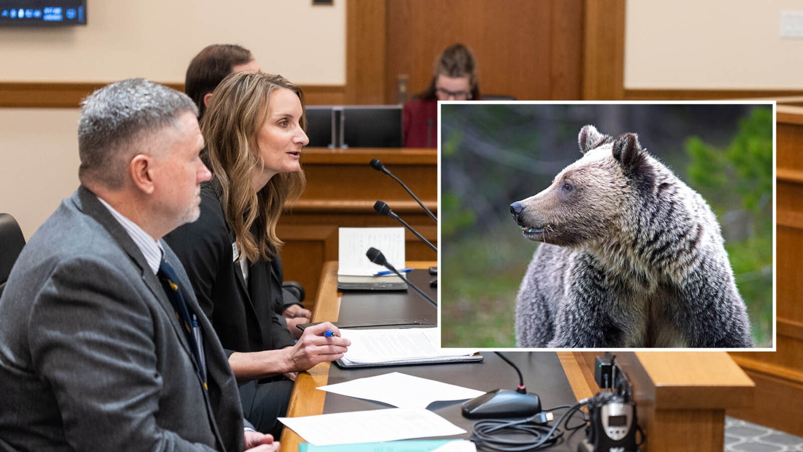 Wyoming Game and Fish Director Angi Bruce testifies about the potential for grizzly delisting during a Wyoming legislative committee meeting Feb. 4, 2025.